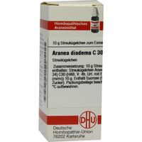Aranea diadema C2