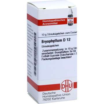 Bryophyllum 50 %