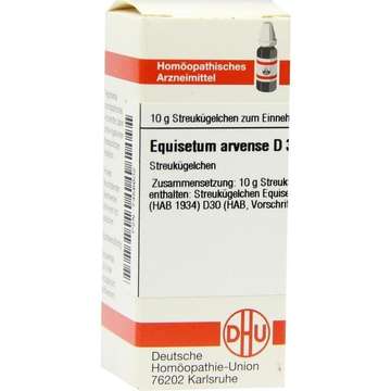 EQUISETUM ARVENSE D3
