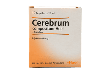 Cerebrum compositum-Heel-Ampullen