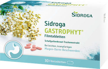 Sidroga GastroPhyt Filmtabletten
