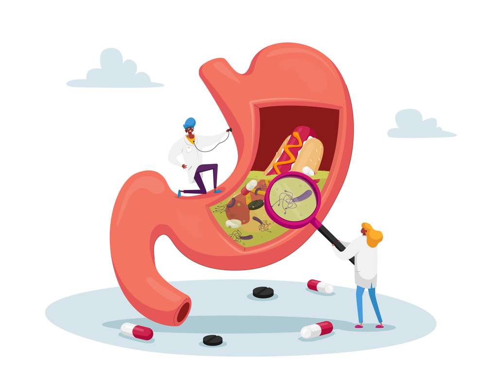 Personagens de médico gastroenterologista em estômago enorme com estetoscópio e lupa. Consulta, médico estuda dor de estômago causas de gastrite e doença de Helicobacter. Ilustração vetorial de pessoas em desenho animado Ilustração das causas da gastrite