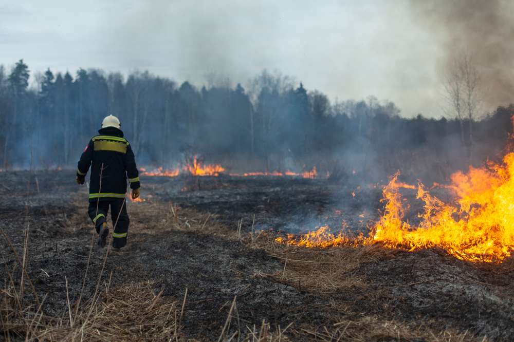 Brandweerman loopt door brandend landschap
