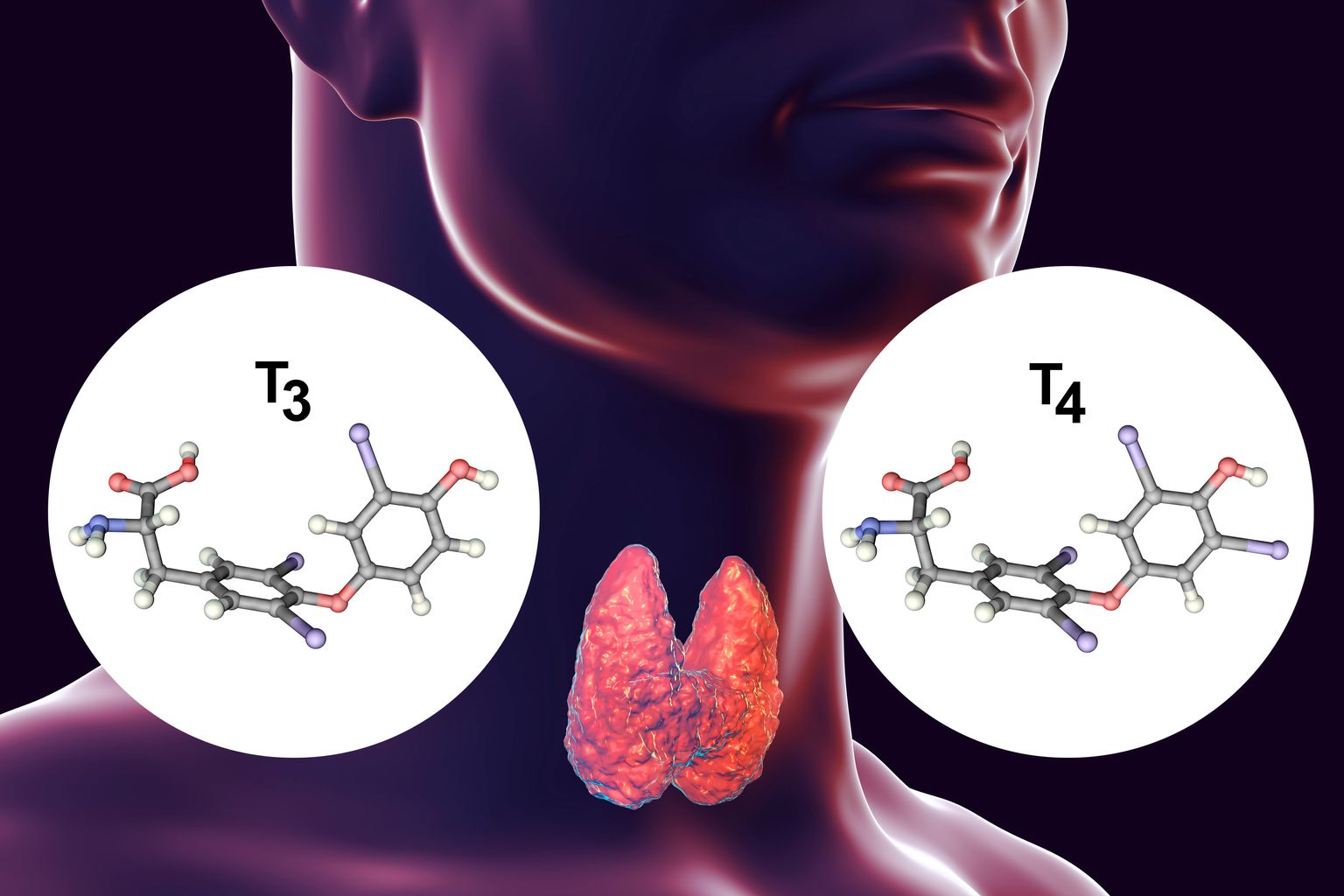 Hormonas da tiroide T3 e T4