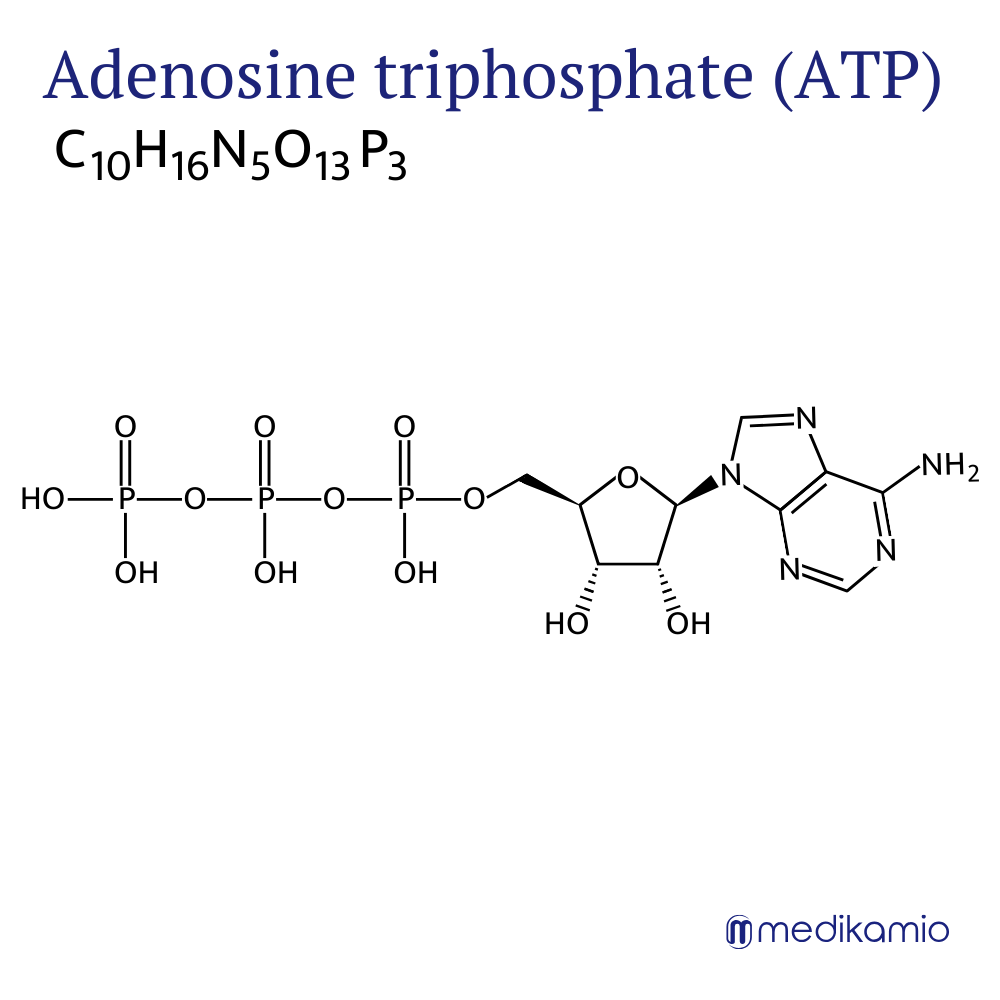 Gráfico Fórmula estrutural do ingrediente ativo trifosfato de adenosina (ATP)