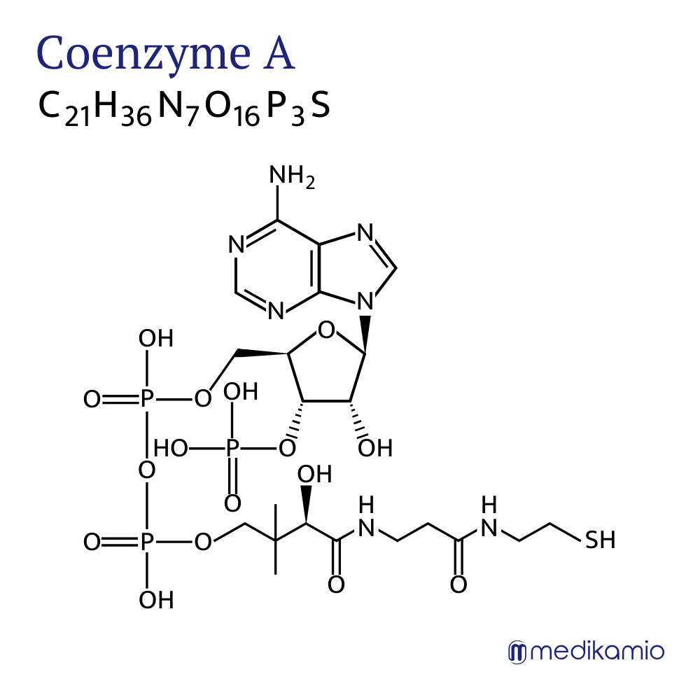Grafik Strukturformel des Wirkstoffs Coenzym A