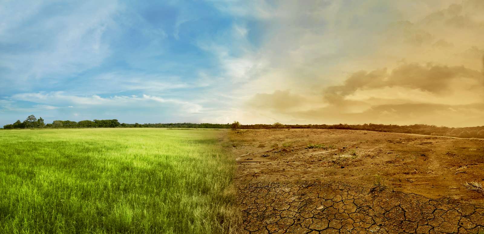 Verdeeld landschap met groene en droge weide