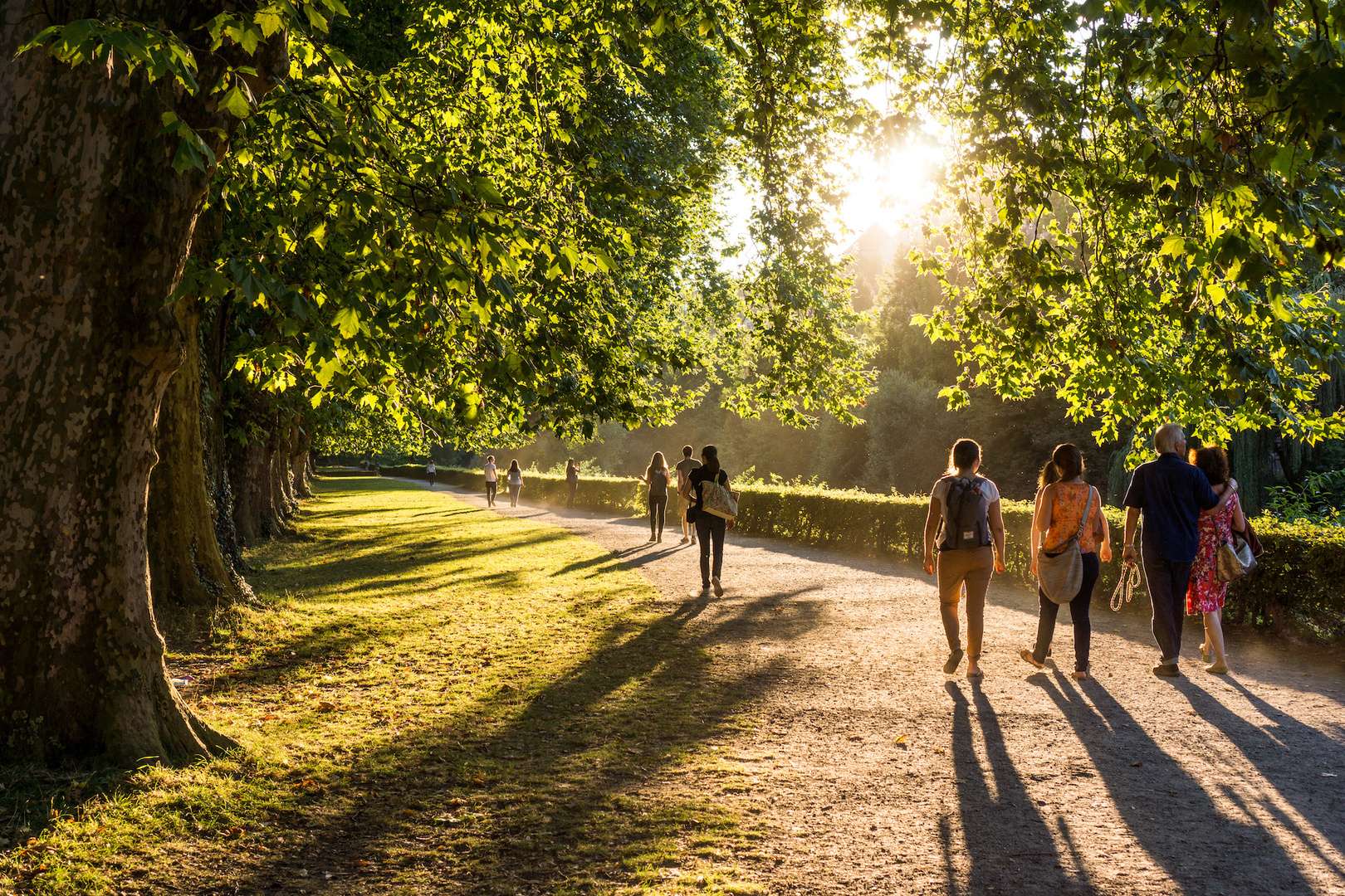 Spaziergänger im Park in der Abendsonne Aufnahme von Spaziergängern in einem Park