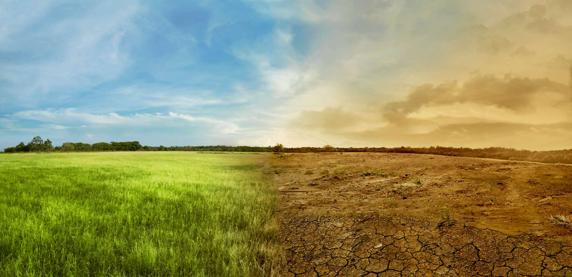 Verdeeld landschap met groene en droge weide