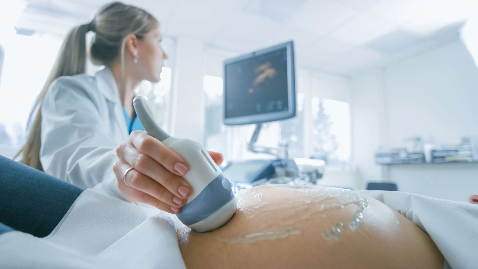 No hospital, plano aproximado do médico a fazer ultra-sons / procedimento de ultra-sons, uma mulher grávida. Transdutor obstétrico no abdómen da mãe, a mover o futuro. Grande plano de um exame de ultra-sons numa mulher grávida
