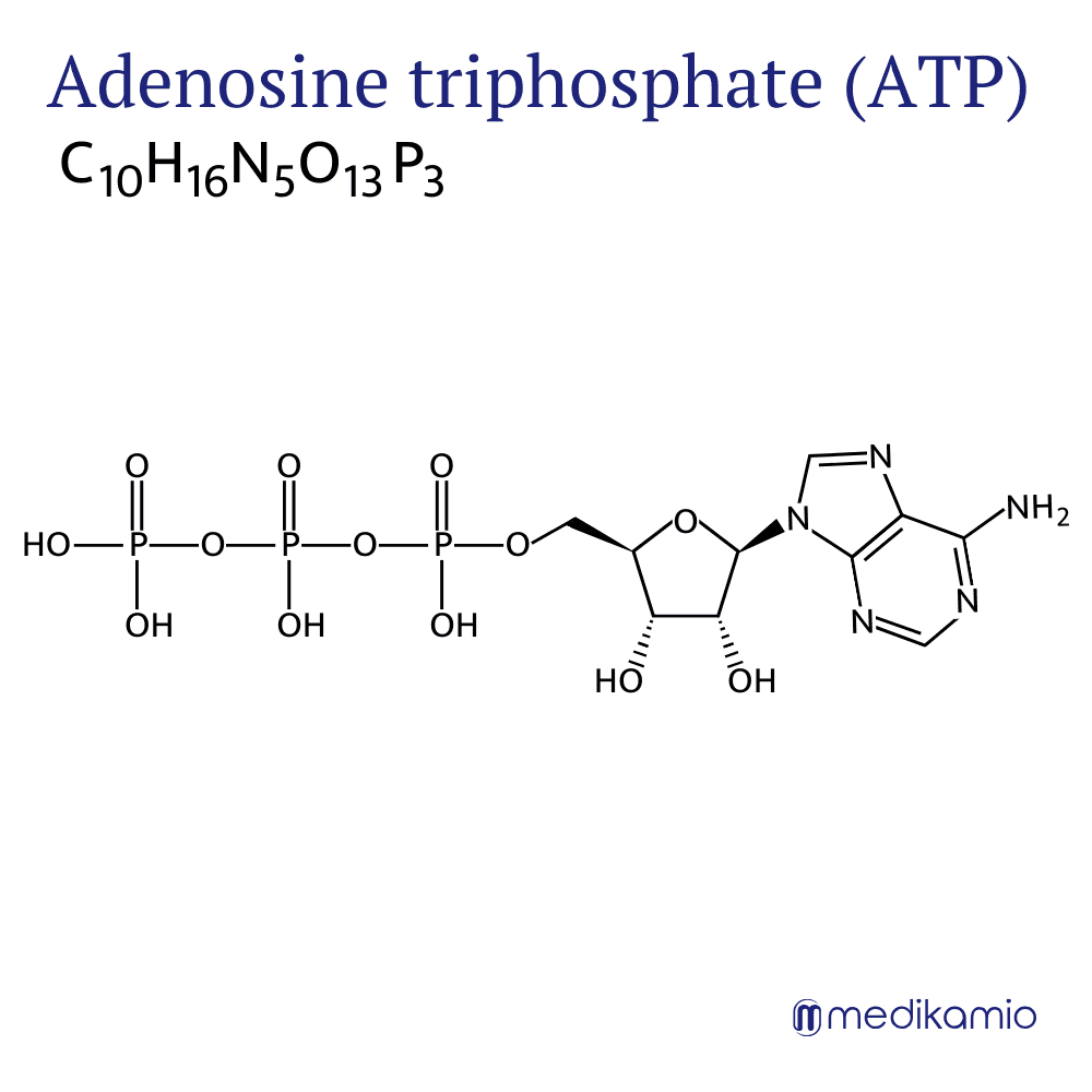 Formule développée et formule brute Adénosine triphosphate (ATP) Graphique Formule structurelle de la substance active adénosine triphosphate (ATP)