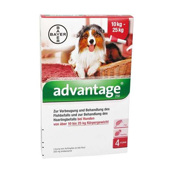 Advantage 250 mg Lösung zum Auftropfen für Hunde (≥ 10 - < 25 kg)