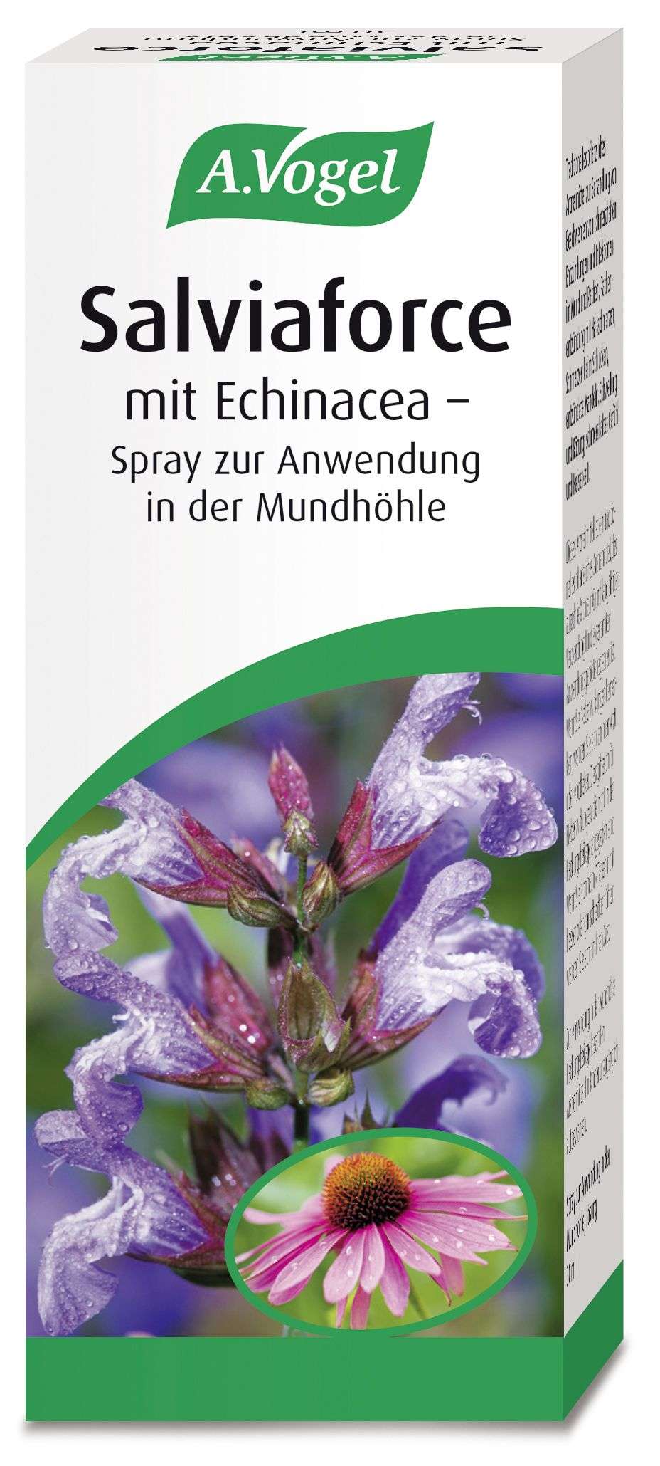 Salviaforce mit Echinacea – Spray zur Anwendung in der Mundhöhle, Lösung