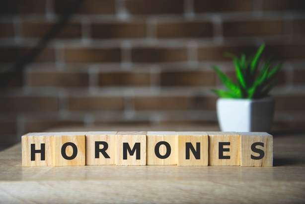 Le mot anglais "hormones" écrit sur des cubes en bois. Mot HORMONE écrit sur un bloc de bois, concept médical