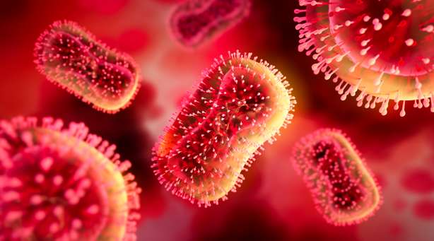 Illustration du virus de la variole du singe Gros plan sur le virus de la variole du singe
