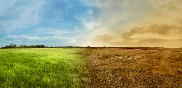 Geteilte Landschaft mit grüner und trockener Wiese