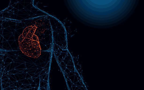 Vektorgrafik bildet ein anatomisches Herz und den menschlichen Körper auf blauem Hintergrund. Menschliche Herz-Anatomie formt Linien und Dreiecke, Punkt Verbindungsnetz auf blauem Hintergrund. Illustrationsvektor