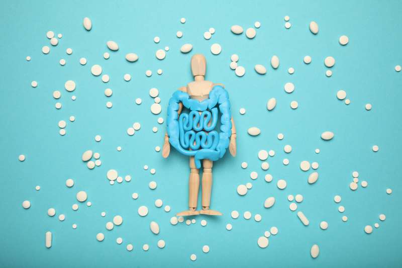 Um trato intestinal saudável em uma figura humana com medicamentos probióticos. Cólon saudável nas mãos da figura humana. problemas digestivos, cólicas, disbacteriose. Medicina digestiva, probióticos.