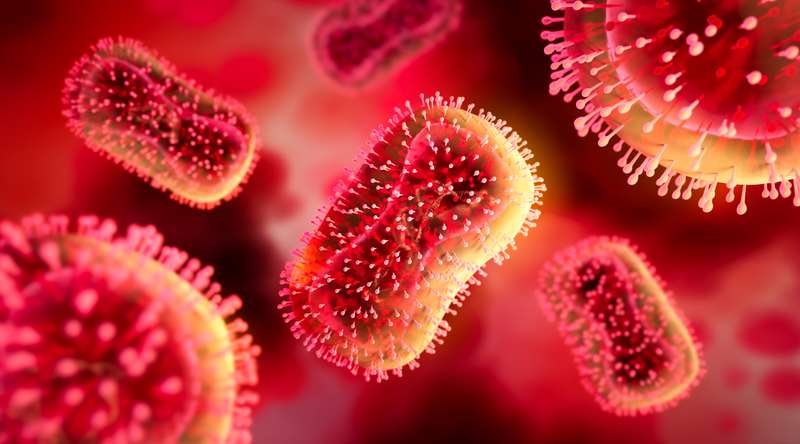 Illustratie van het apenpokkenvirus Close-up apenpokkenvirus