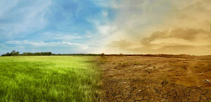 Verdeeld landschap met groene en droge weide